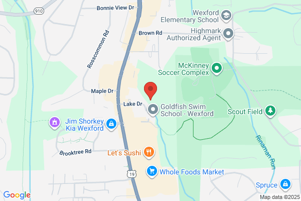 Globe Life American Income Division: Arias Organization