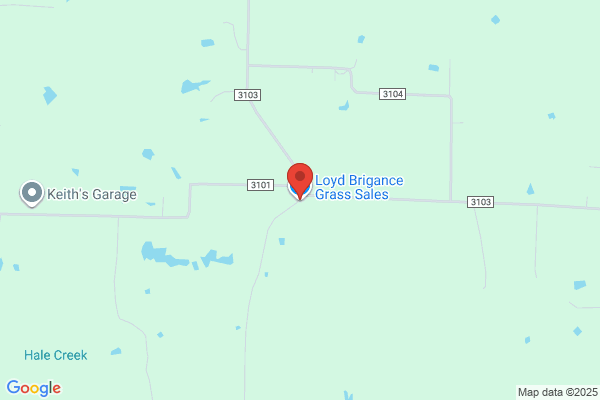 Loyd Brigance Grass Sales Inc.