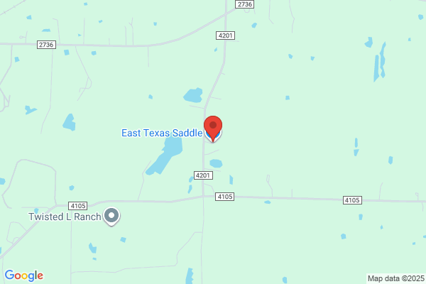East Texas Saddle