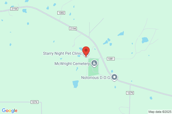 Starry Night Pet Clinic
