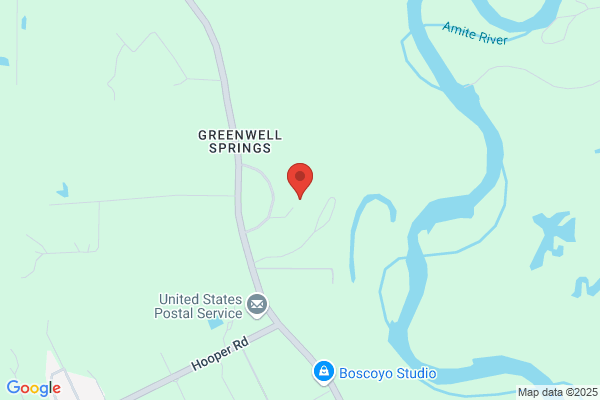 Greenwell Springs Hospital