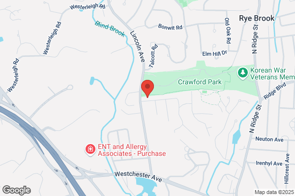 Rye Brook Security Inc