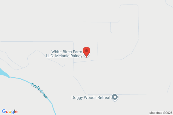 White Birch Farms