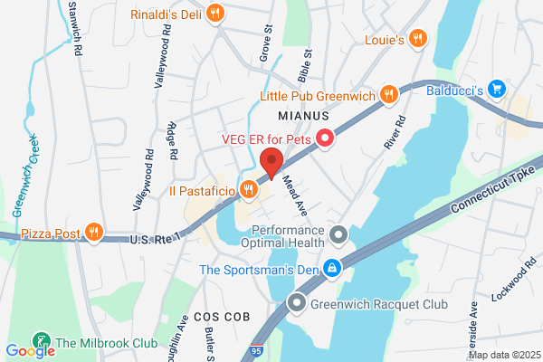 Rose Nails
