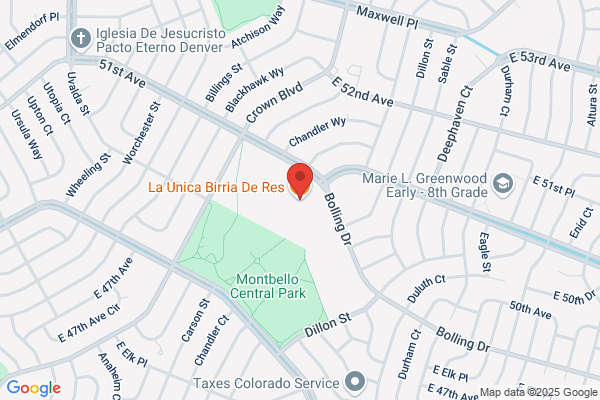 UNICA LLC