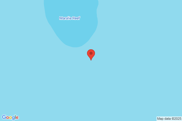 Amiracle Reef