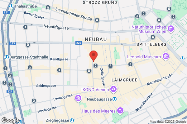 Wienerschnitzle