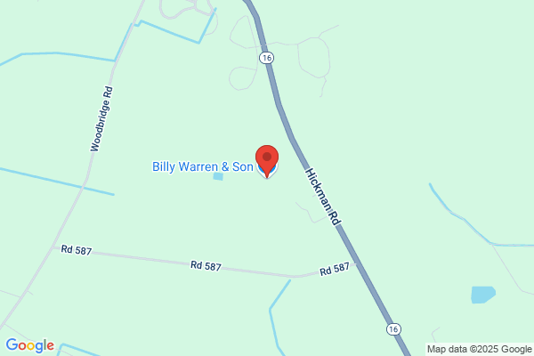 Billy Warren & Son