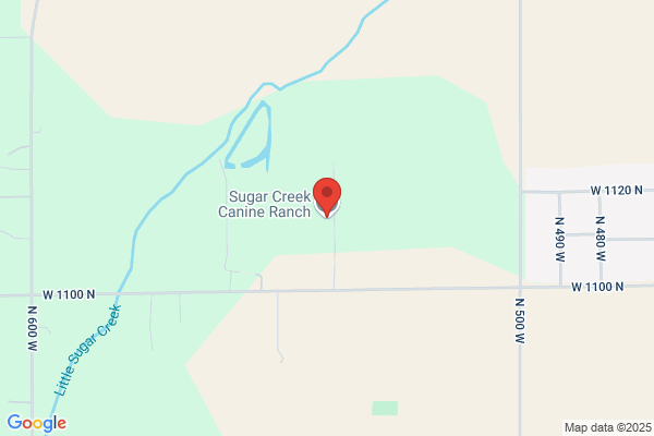 Grassy Creek Kennels