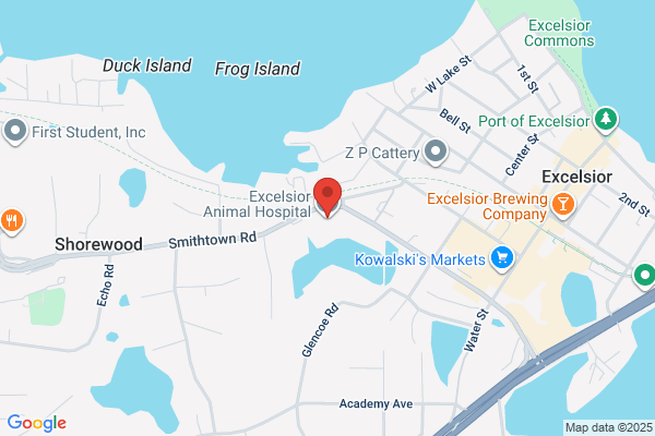 Excelsior Animal Hospital