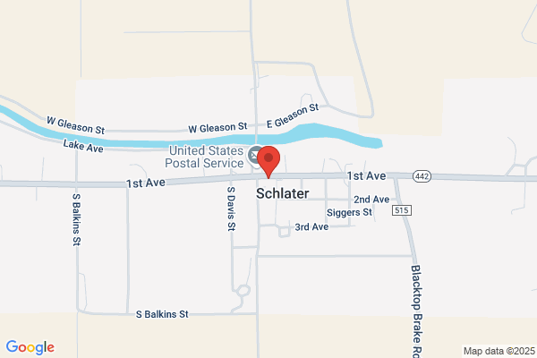 Schlater Flying Inc