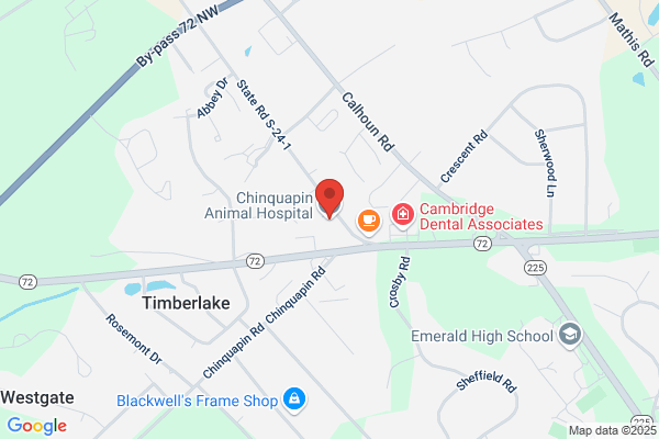 Chinquapin Animal Hospital