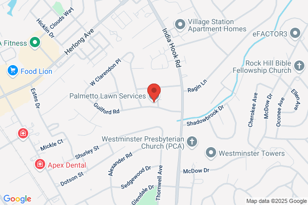 Palmetto Lawn Care & Landscaping