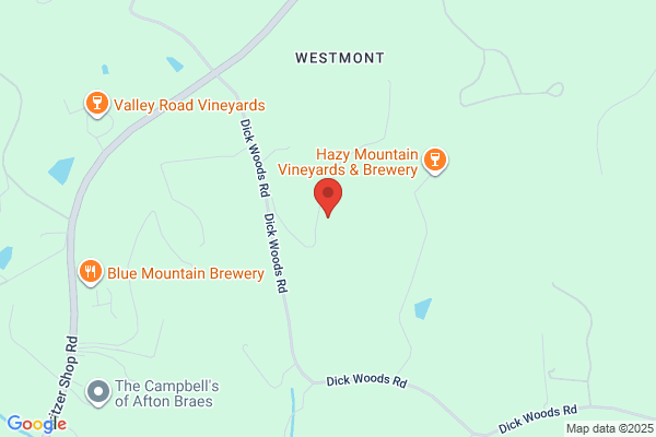 Turk Mountain Vineyards