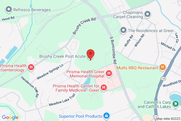 Brushy Creek Post Acute