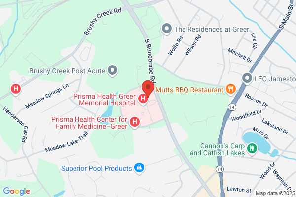 Prisma Health Steadman Hawkins Clinic of the Carolinas–Greer