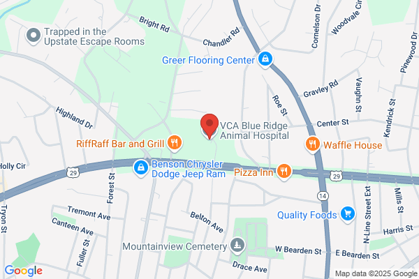 VCA Blue Ridge Animal Hospital