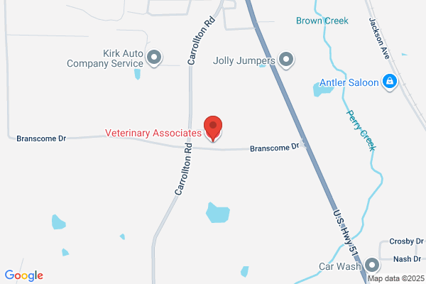 Thomas Abernethy - Veterinary Associates