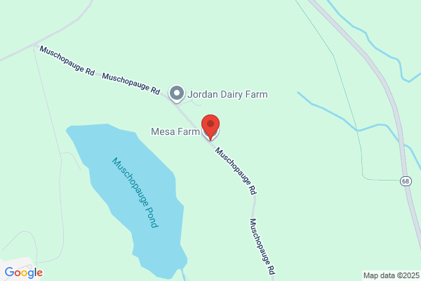 Mesa Farms