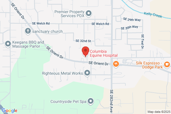 Cascade Equine Clinic