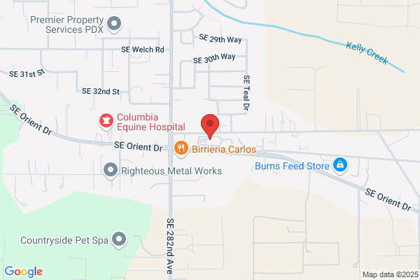 Orient Auto Parts & Recycling
