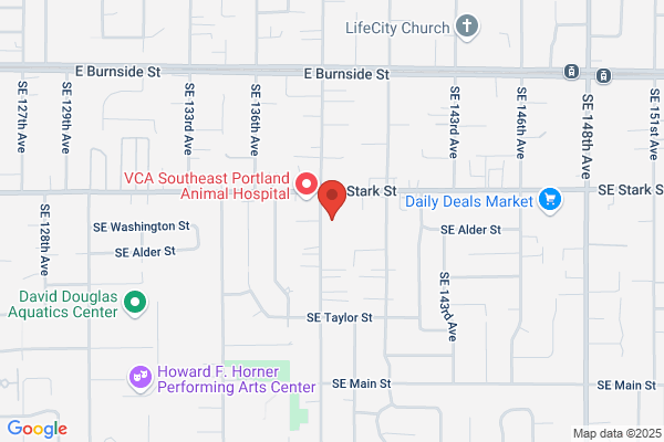 Dental Fill Ins NW