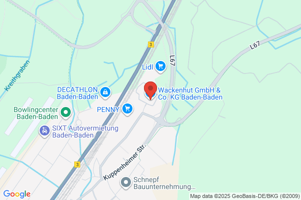Wackenhut Corp the