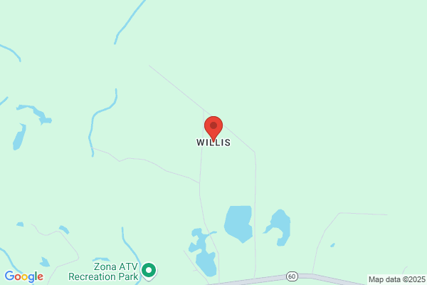 Willis of Louisiana Inc