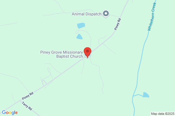 Piney Grove Missionary Baptist Church