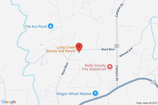 Weinzinger & Associates