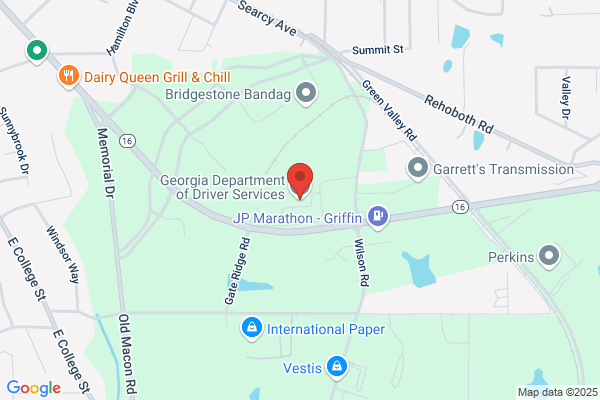Georgia Driving School