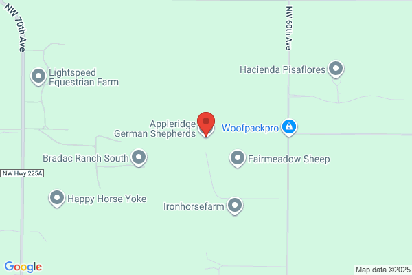Appleridge German Shepherds