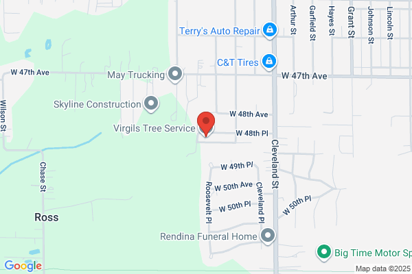 Virgil's Tree Service