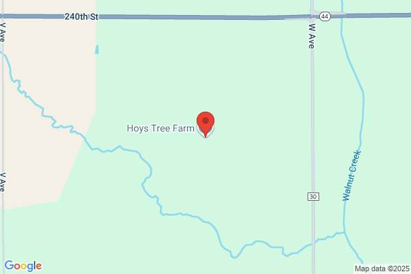 Hoy Tree Farm