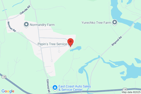 Pepin's Tree Service LLC