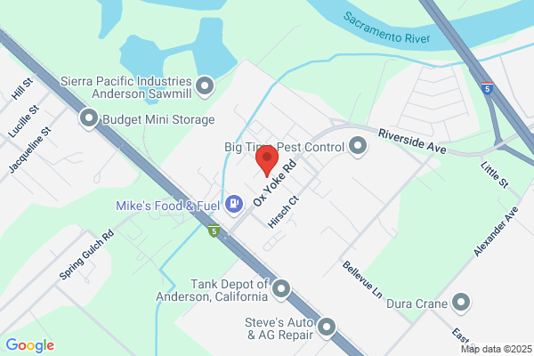 Gene Platt Automotive