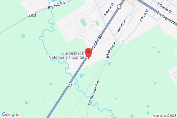 Groesbeck Veterinary Hospital