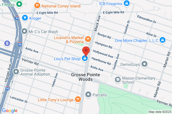 Lakepointe Chiropractic Clinic