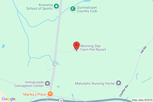 Morning Star Farm Llc Pet Resort