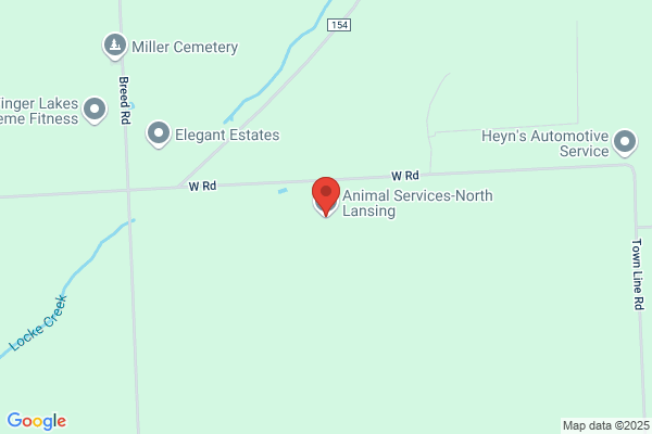 Animal Services of North Lansing