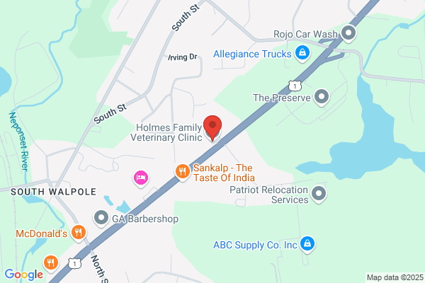 Holmes Wallace Dr Veterinarian