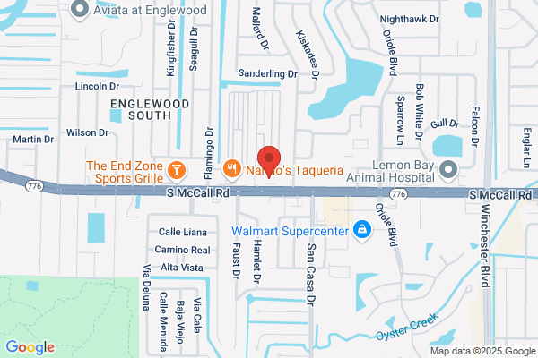 AutoZone Auto Parts