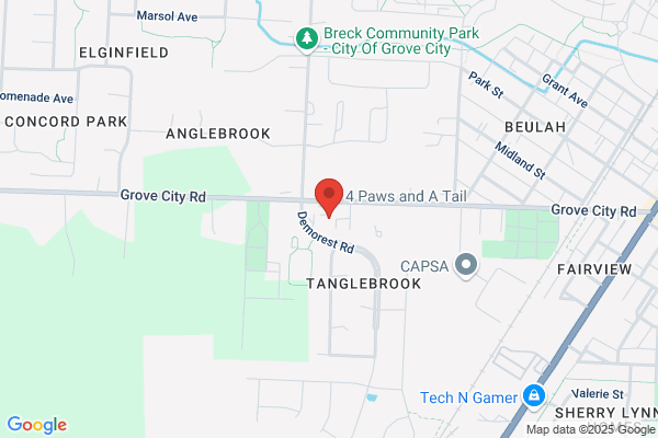 Henderson Aerial Surveys