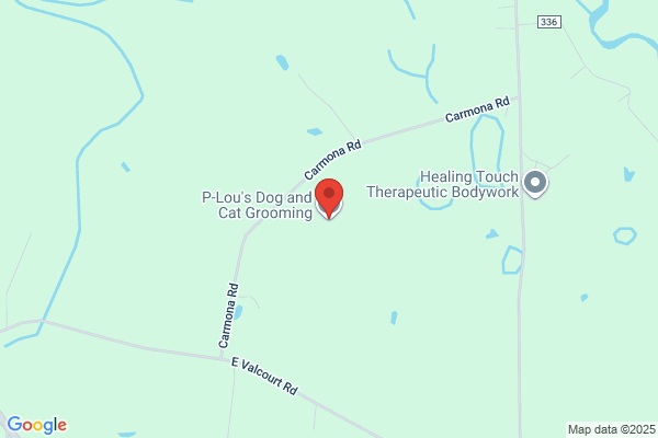 P-Lou's Pet Grooming and Boarding Resort