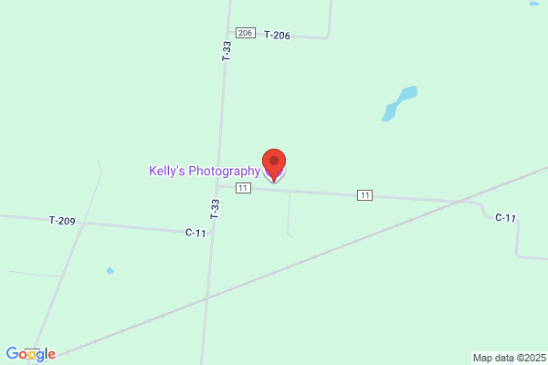 Kelly's Photography