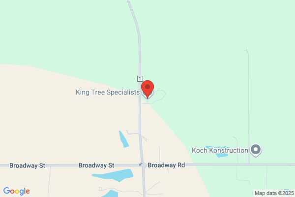 King Tree Specialists Inc