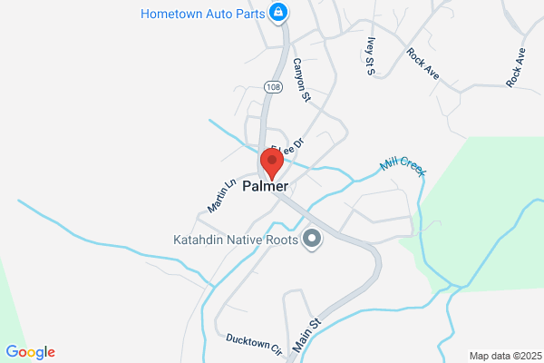 Palmer City of, Library