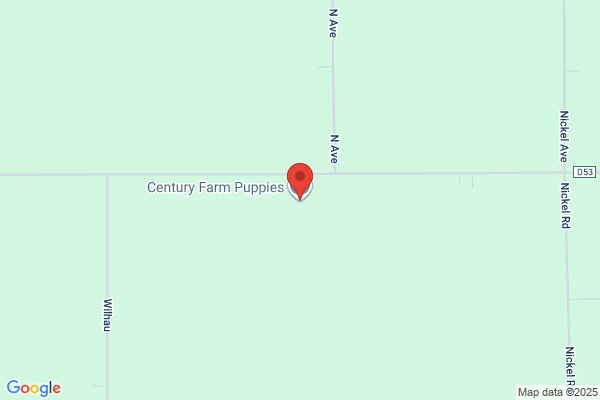 Century Farm Puppies
