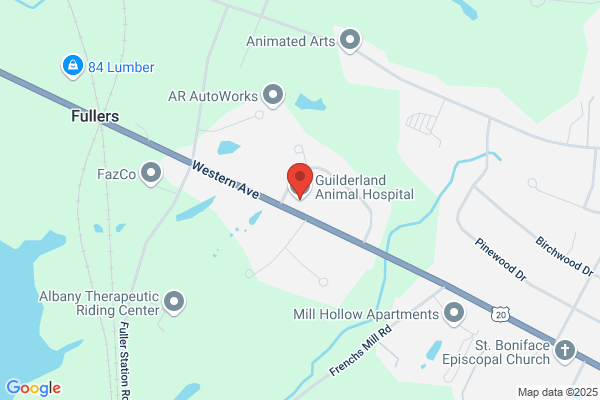 Guilderland Animal Hospital