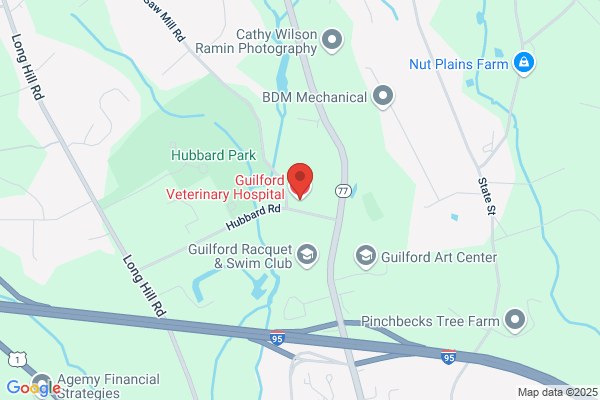 Guilford Veterinary Hospital
